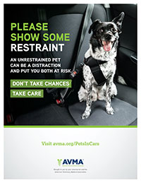 Pet in car restraint