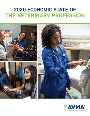 2020 AVMA State of the Veterinary Profession report cover