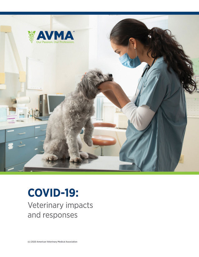 Report gives insights into COVID impacts on veterinary practices