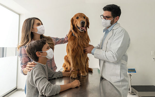 Study reveals veterinarian preparedness during pandemic