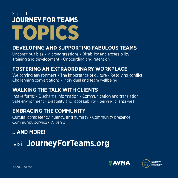 Journey for Teams topics