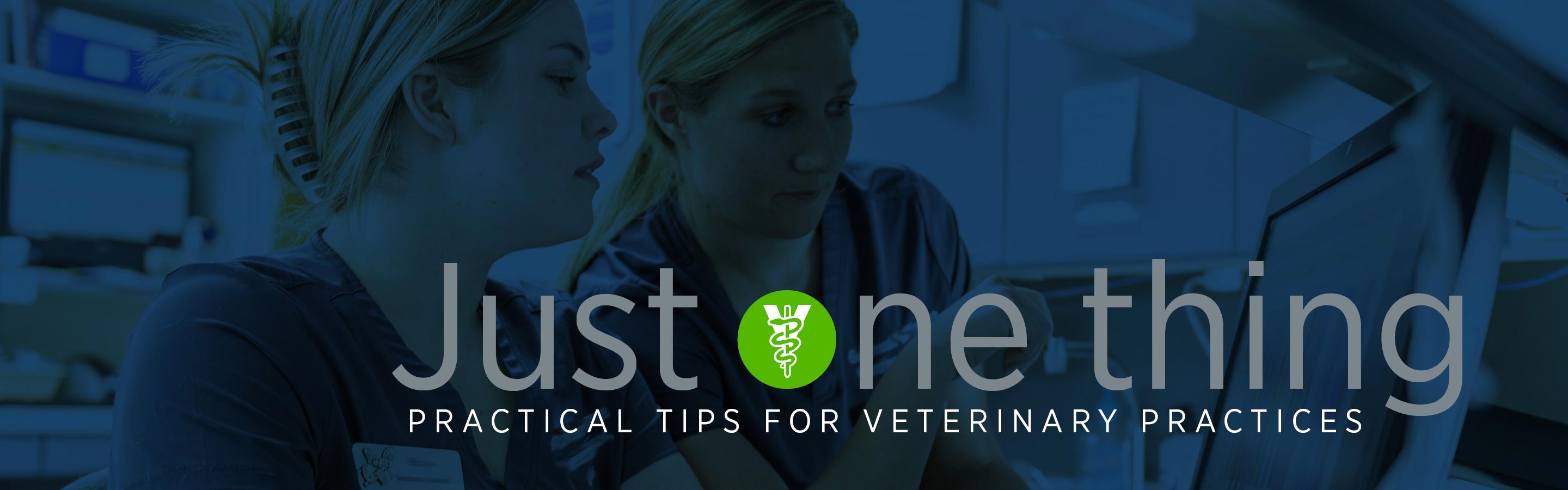 Just one thing: Practical tips for veterinary practices
