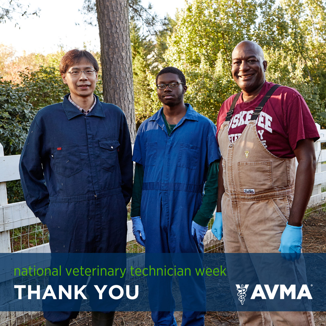 National Veterinary Technician Week - THANK YOU