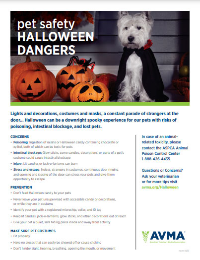 AVMA client flyer Halloween safety