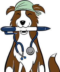 Indy is the mascot for the 2023 AAHA Technician Utilization Guidelines, designed by artist Lili Chin (Courtesy of AAHA)