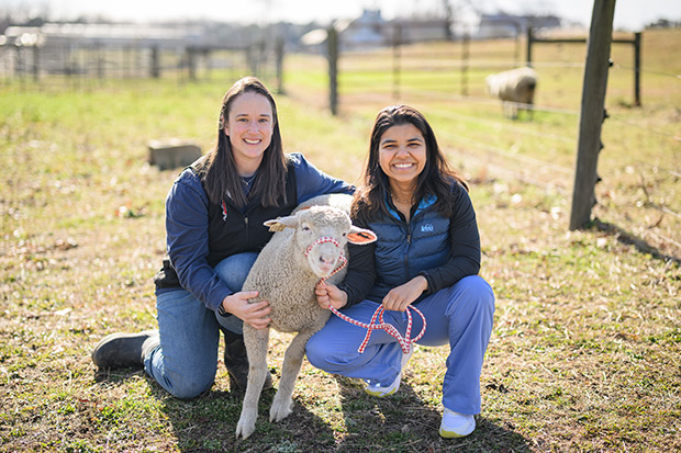 Dr. Danielle Mzyk (left) and Ankita Guptka, PhD, pose with a sheep