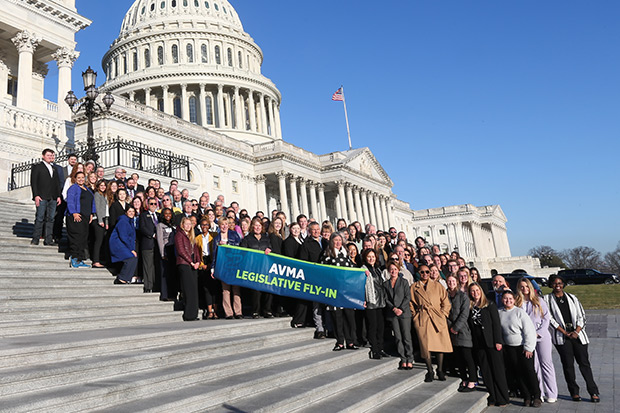Participants of the 2024 AVMA Legislative Fly-In stand on the steps of the US Capitol with a "AVMA Legislative Fly-In" banner