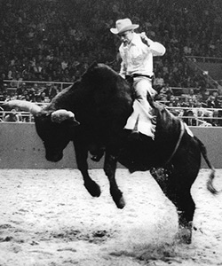 Dr. Ed Le Tourneau rides a black bull
