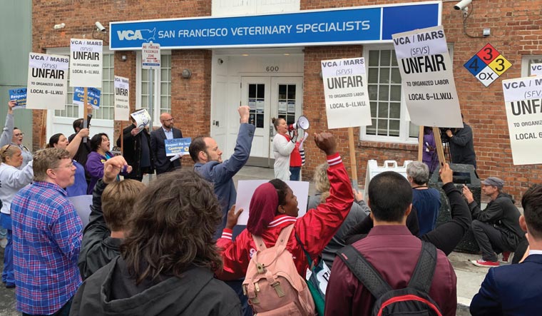 Veterinary workers on strike