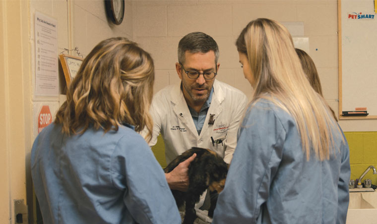 Dr. Bateman works with veterinary students