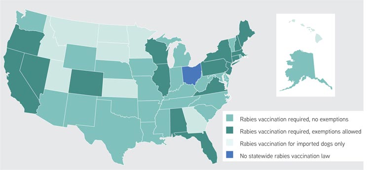 A map depicting rabies laws for dogs by state.