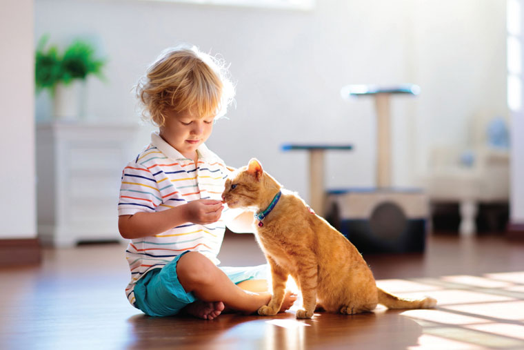 Child giving a cat a treat