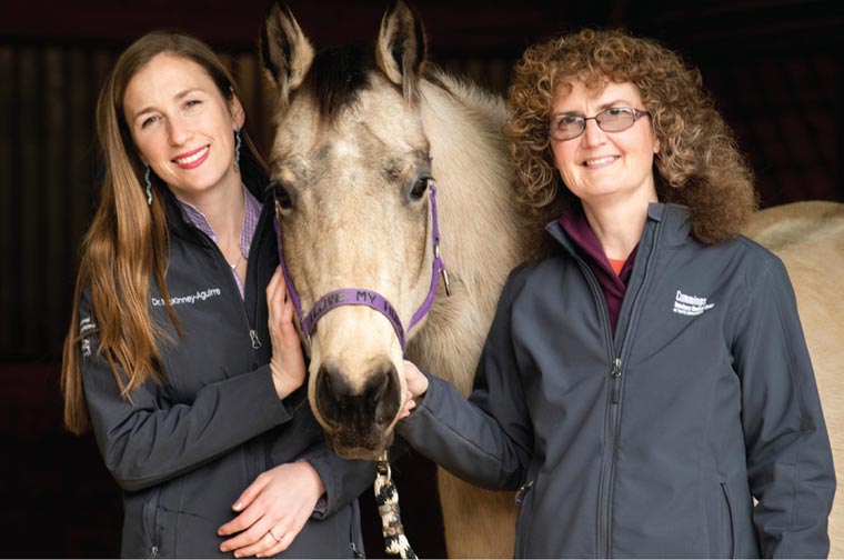 Drs. McKinney and Bedenice with equine subject