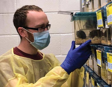 Yerkes employee wearing PPE interacts with research rodents