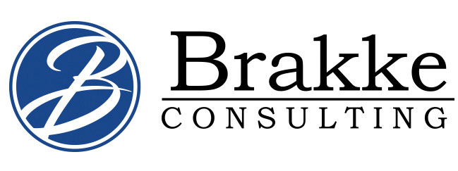 Brakke Consulting Inc. logo