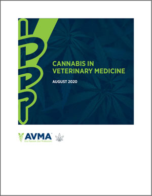 Report cover: Cannabis in veterinary medicine