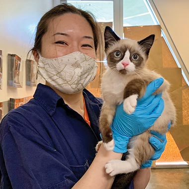 Cat cared for at one of the ASPCA Primary Pet Care clinics