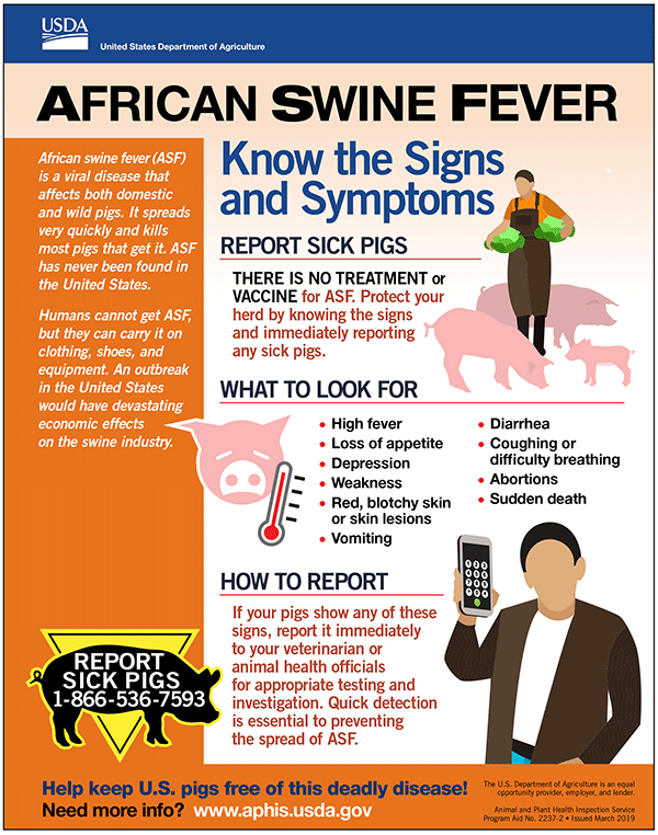 USDA APHIS infographic: African swine fever