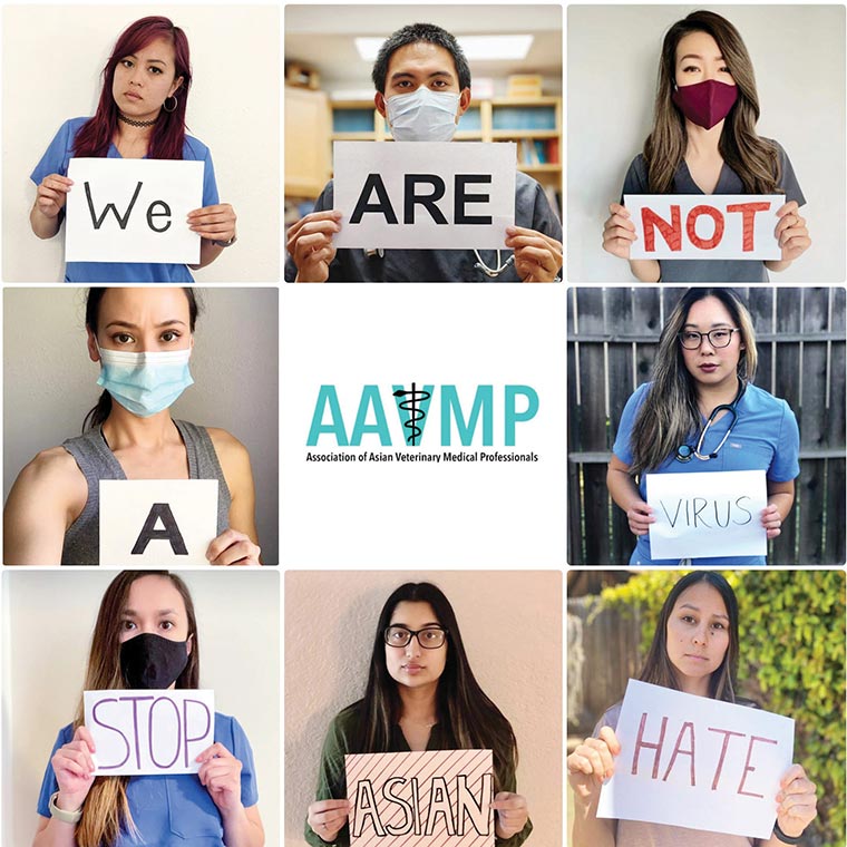 Collage of Asian American and Pacific Islander veterinarians and vet students