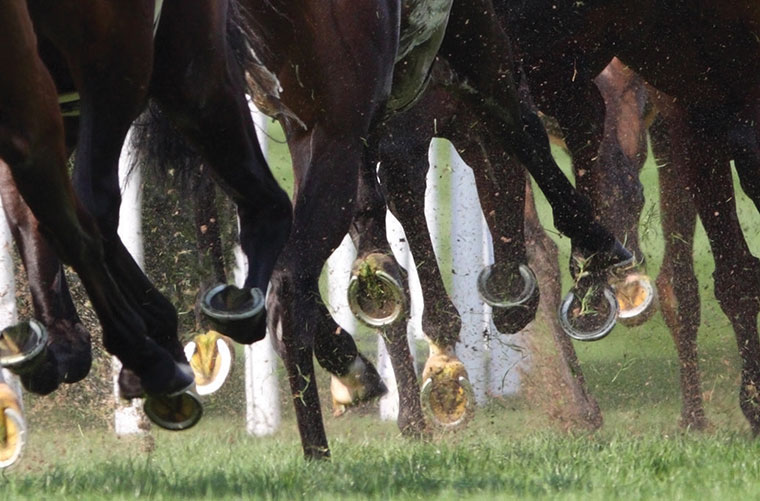 Racehorses' hooves on a grass track