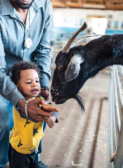 Parent with child feeding a goat