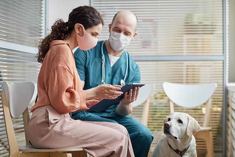 Side view portrait of young woman wearing mask while talking to veterinarian in waiting room at vet clinic with white dog