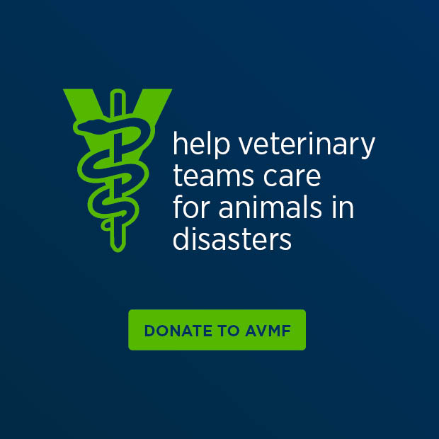 Donate to AVMF