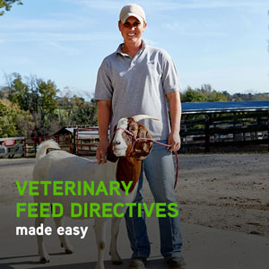 Veterinary feed directives made easy
