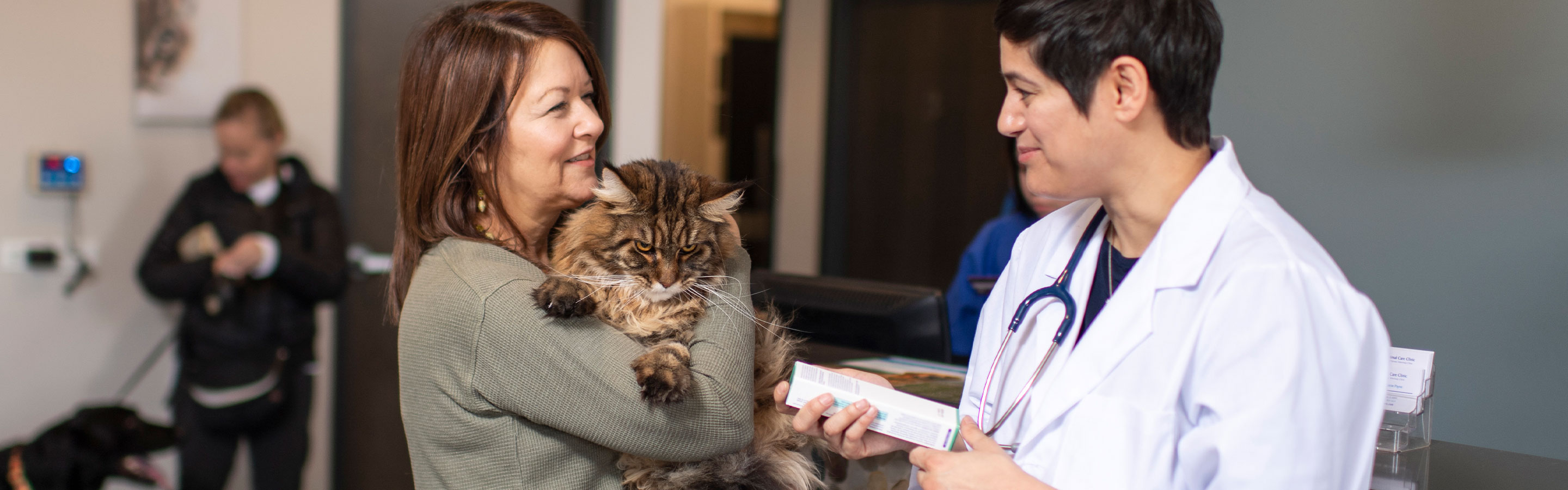 Woman holding cat with vet