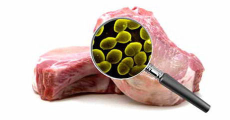 Graphic illustration: Magnifying glass showing microbes on a slab of meat