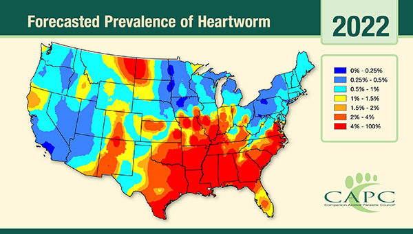 U.S. map: Forecasted Prevalence of Heartworm, 2022