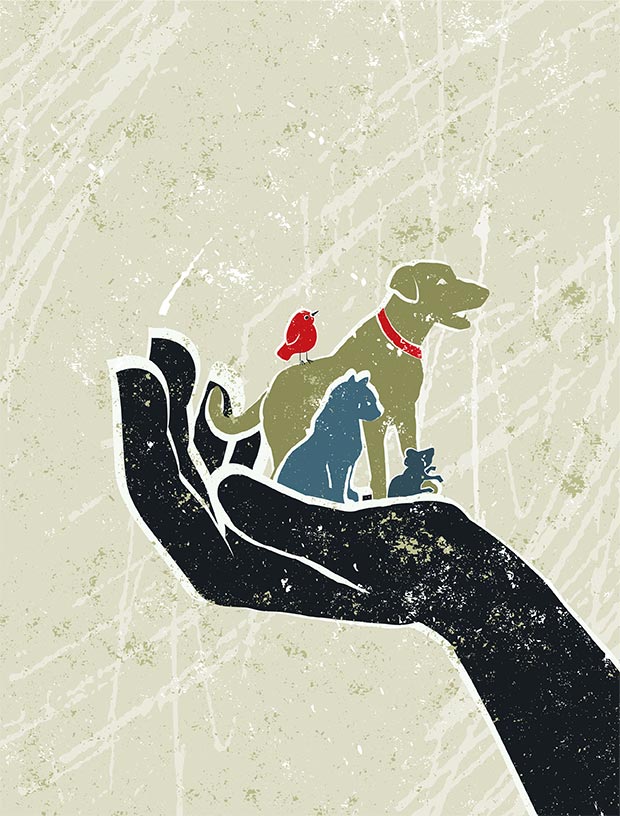 Illustration: Human hand holding various animals