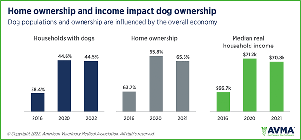 Chart: Home ownership and income impact dog ownership
