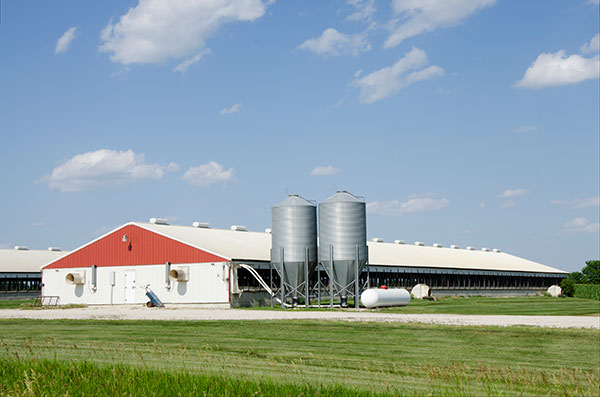 Hog containment facility in Iowa, USA