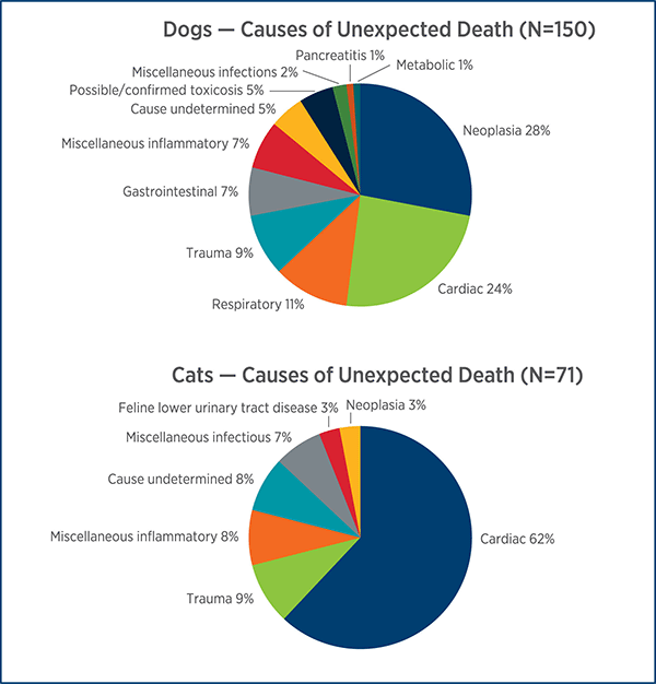 Pie charts: Causes of Unexpected Death in Dogs and Cats