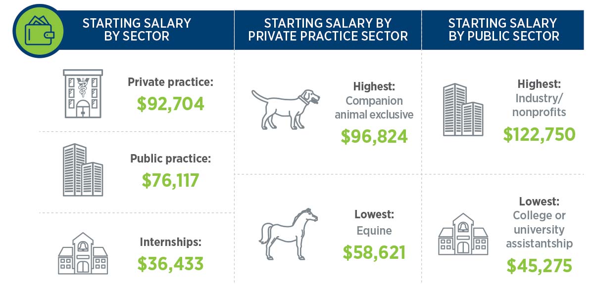 Salary infographic