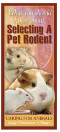 Selecting A Pet Rodent