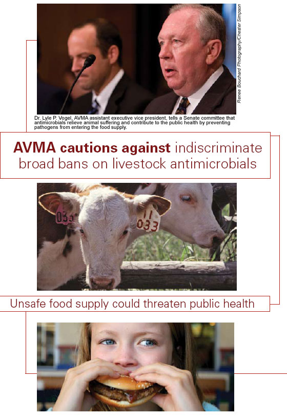 AVMA cautions against indiscriminate broad bans on livestock antimicrobials