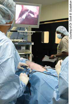 Dr. Gustafson performs a laparoscopic procedure on Geoffrey