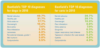 Banfield's Top 10 Diagnoses for Dogs and Cats in 2010