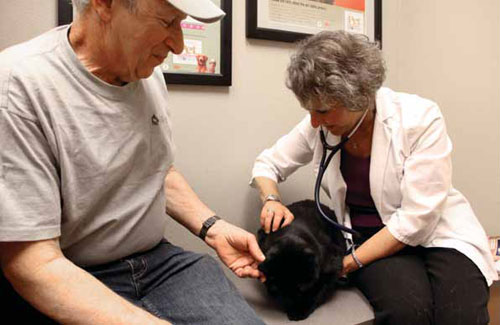 Cat Care Clinic in Madison, Wis.