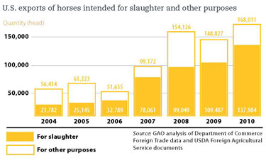 U.S. exports of horses intended for slaughter and other purposes