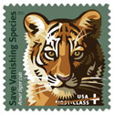 Amur tiger cub stamp