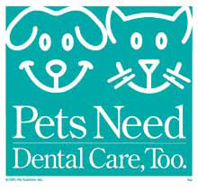 Pets Need Dental Care, Too