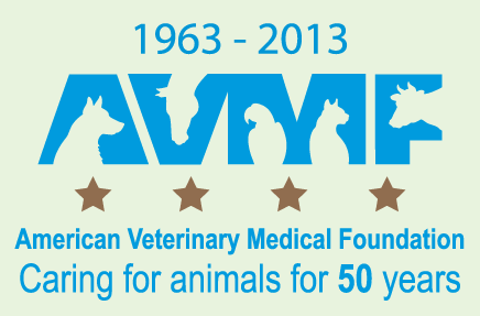 1963 - 2013 AVMF