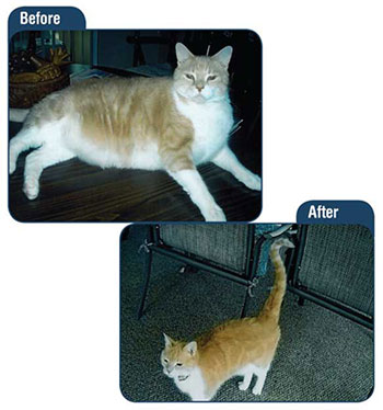 Before and after photos of Georgie