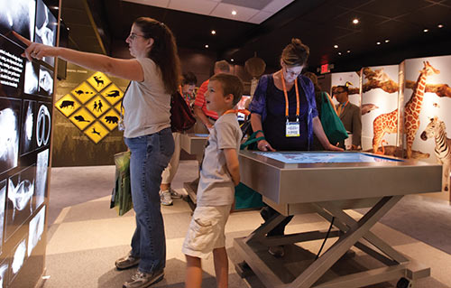 Visitors aboard the Animal Connections exhibit