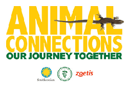Animal Connections: Our Journey Together