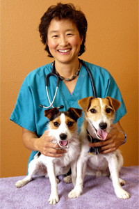 Dr. Sophia Yin