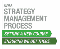 AVMA Strategy Management Process